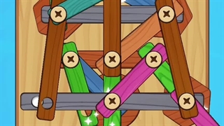Wood Nuts:Screw Puzzle Level 10