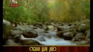 آهنگ زیبای ویگن