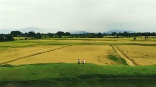 عاشقم من.. موسیقی ساز قانون