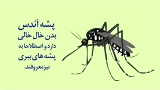 پشه آئدس ناقل بیماری تب دنگی