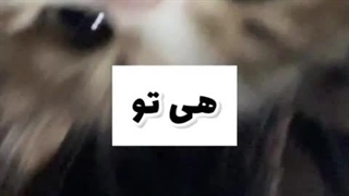 اجیییییی با توامممم