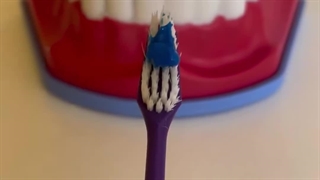 اینطوری مسواک بزن !