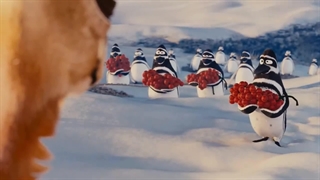 برف های تنهایی آب می شوند در صدای تابستانی یک دوست.../خیریه دارالاکرام بیرجند