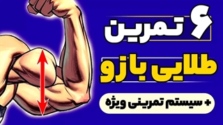 6 تمرین حرفه ای بازو | رشد سریع عضلات جلو بازو و پشت بازو + سیستم تمرین ویژه