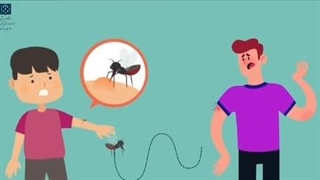 کوتاه و مختصر درباره پشه آئدس و بیماری تب دنگی