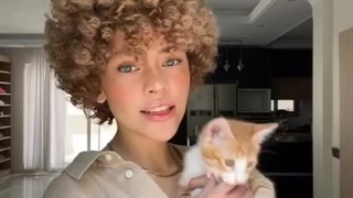 یادت نیست…