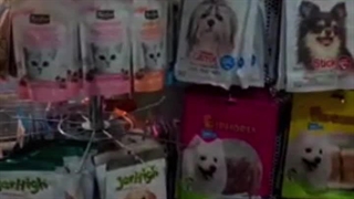 پت شاپ لاکچری پتز