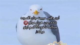 فان اتک ¤▪︎¤