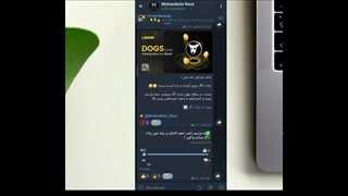 ربات تلگرام  iquizmaster چیست؟