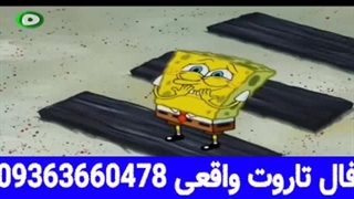 وقتی باب اسفنجی میره روی مخ اختاپوس