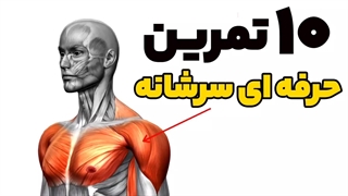 10 از بهترین تمرینات سرشانه | تمرینات سرشانه بدون دستگاه | سرشانه سه بعدی