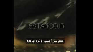 خاویار الماس