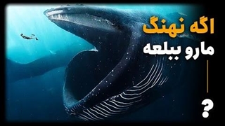 چی میشه اگه یه نهنگ مارو ببلعه ؟