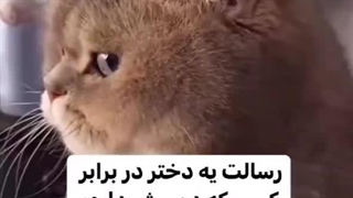 هعیییییی:/