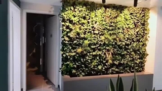 اجرای دیوار سبز و فلاور باکس منزل مسکونی-گرین وال طبیعی 8